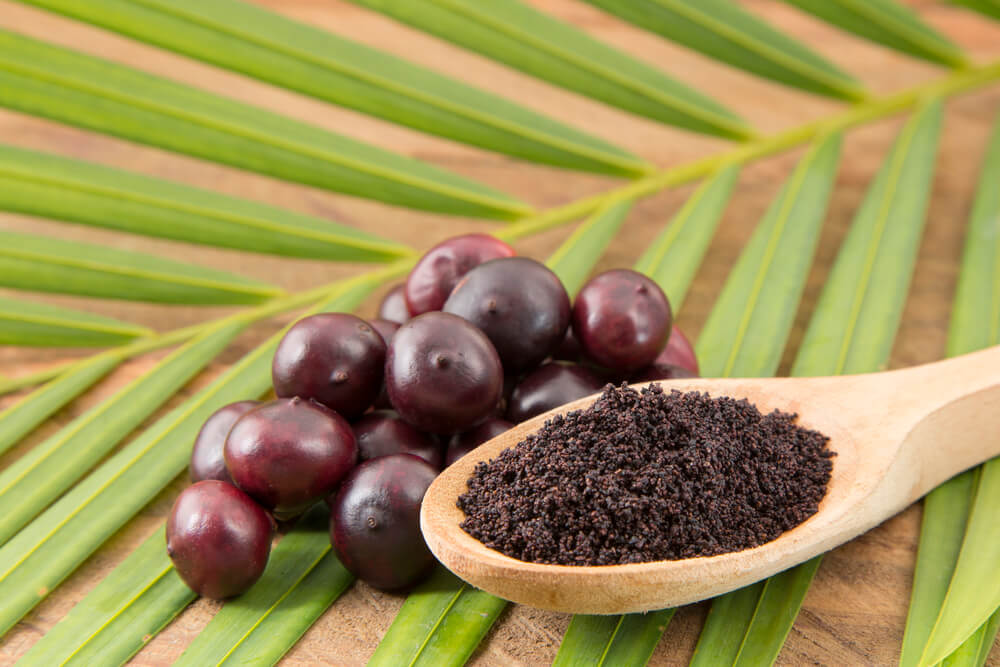 Acai bogyó: erőt adó szupergyümölcs az amazóniai esőerdőből