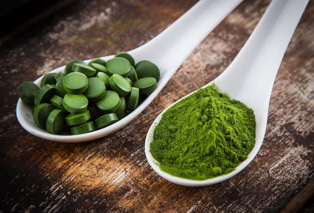 Chlorella alga: a sokoldalú zöld csoda