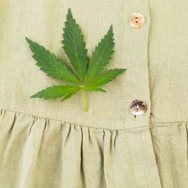 Kenderkóc, kenderbeton, kenderház, kendermag, kenderfehérje