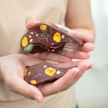 Májméregtelenítés és májvédelem gyógynövényekkel