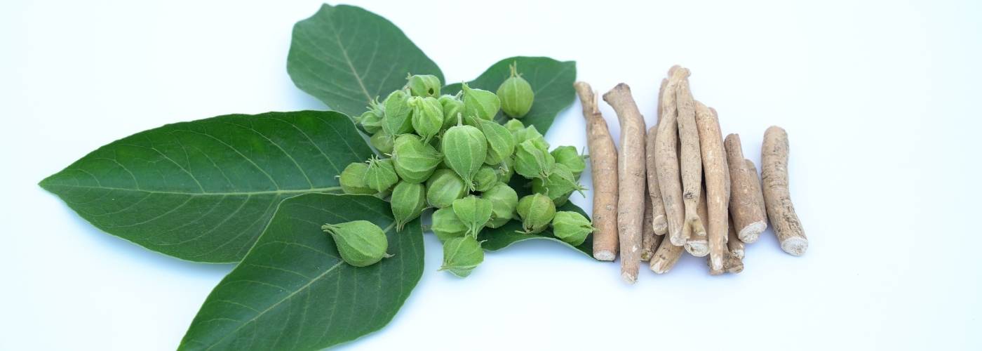 Ashwagandha (Withania somnifera)