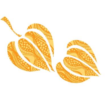 Ashwagandha (Withania somnifera)