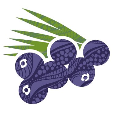 Acai bogyó (Euterpe oleracea)