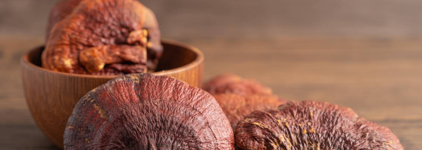 Ganoderma (Reishi gomba)