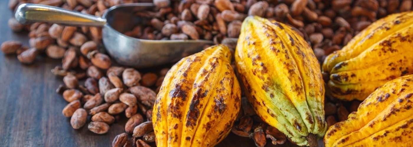 Kakaóbab (Theobroma cacao, nyers formában)