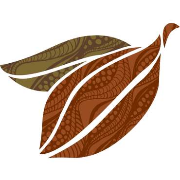 Kakaóbab (Theobroma cacao, nyers formában)