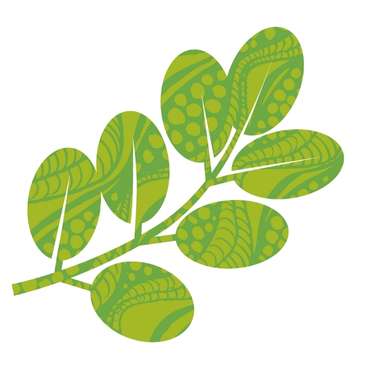 Moringa levél (Moringa oleifera)